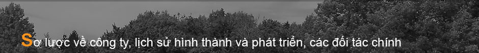 Giới thiệu sơ lược về công ty TNHH Thermal, lịch sử hình thành và phát triển, các đối tác chính